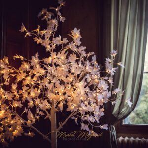arbre, lumineux, livre, or, vœu, cérémonie, guirlande, location, décoration, mariage, princesse, romantique, amour, blanc, Décorevents, Gironde, Bordeaux, aquitaine