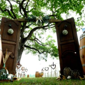 arche, porte, ancienne, bois, cérémonie, laique, photo, location, décoration, mariage, mariés, Décorevents, Gironde, Bordeaux, aquitaine