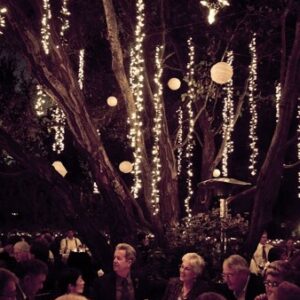 guirlandes, cascade, arbre, lumière, cérémonie, féérie, nature, romantique, location, décoration, mariage, Décorevents, Gironde, Bordeaux, aquitaine